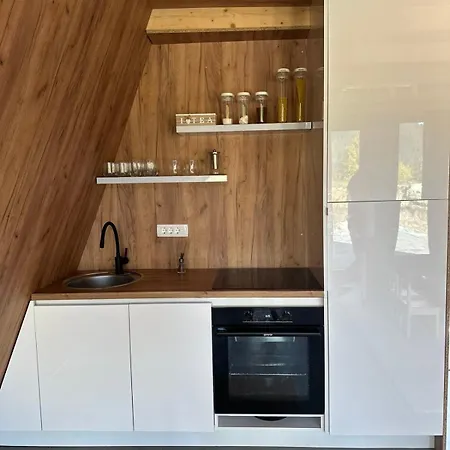 A Frame House Slavuljica *