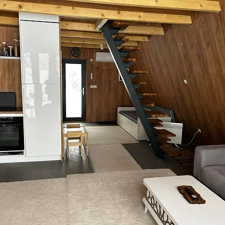 A Frame House Slavuljica